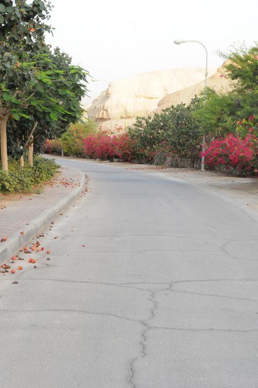 Dead Sea Dawn Neot HaKikar Exterior foto