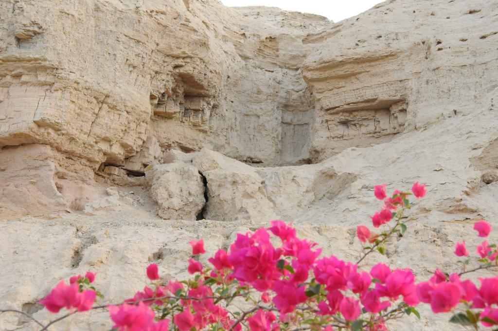 Dead Sea Dawn Neot HaKikar Exterior foto